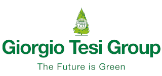 giorgio tesi piccolo