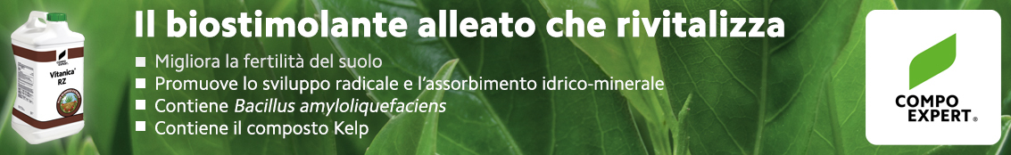 Compo Grande