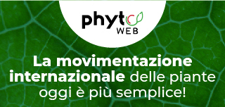 Phyto_piccolo