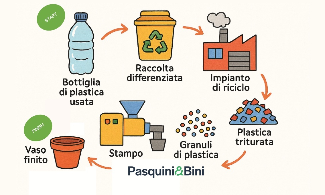 immagine articolo