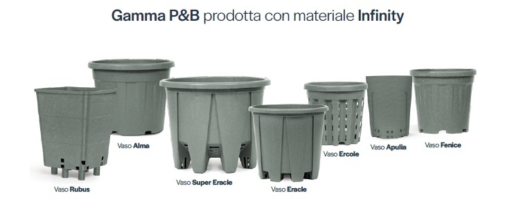 immagine articolo
