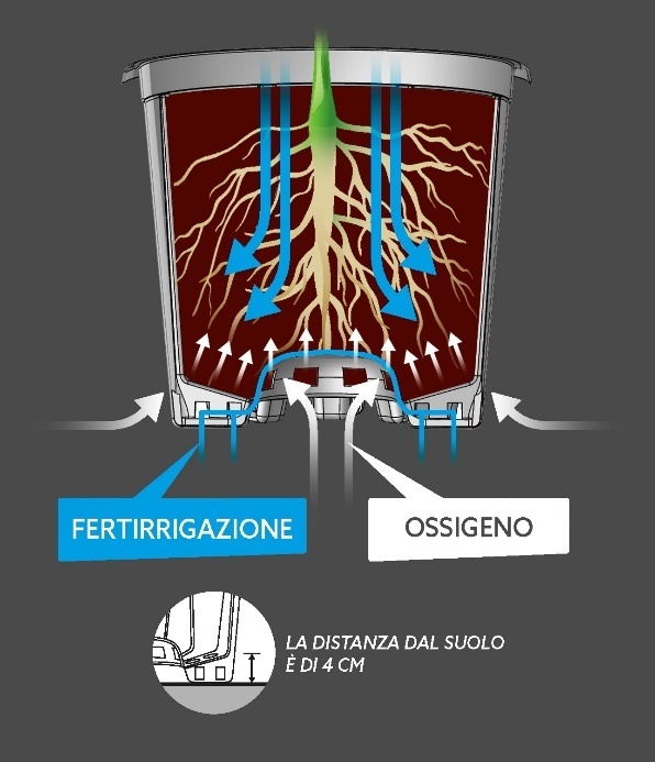 immagine articolo