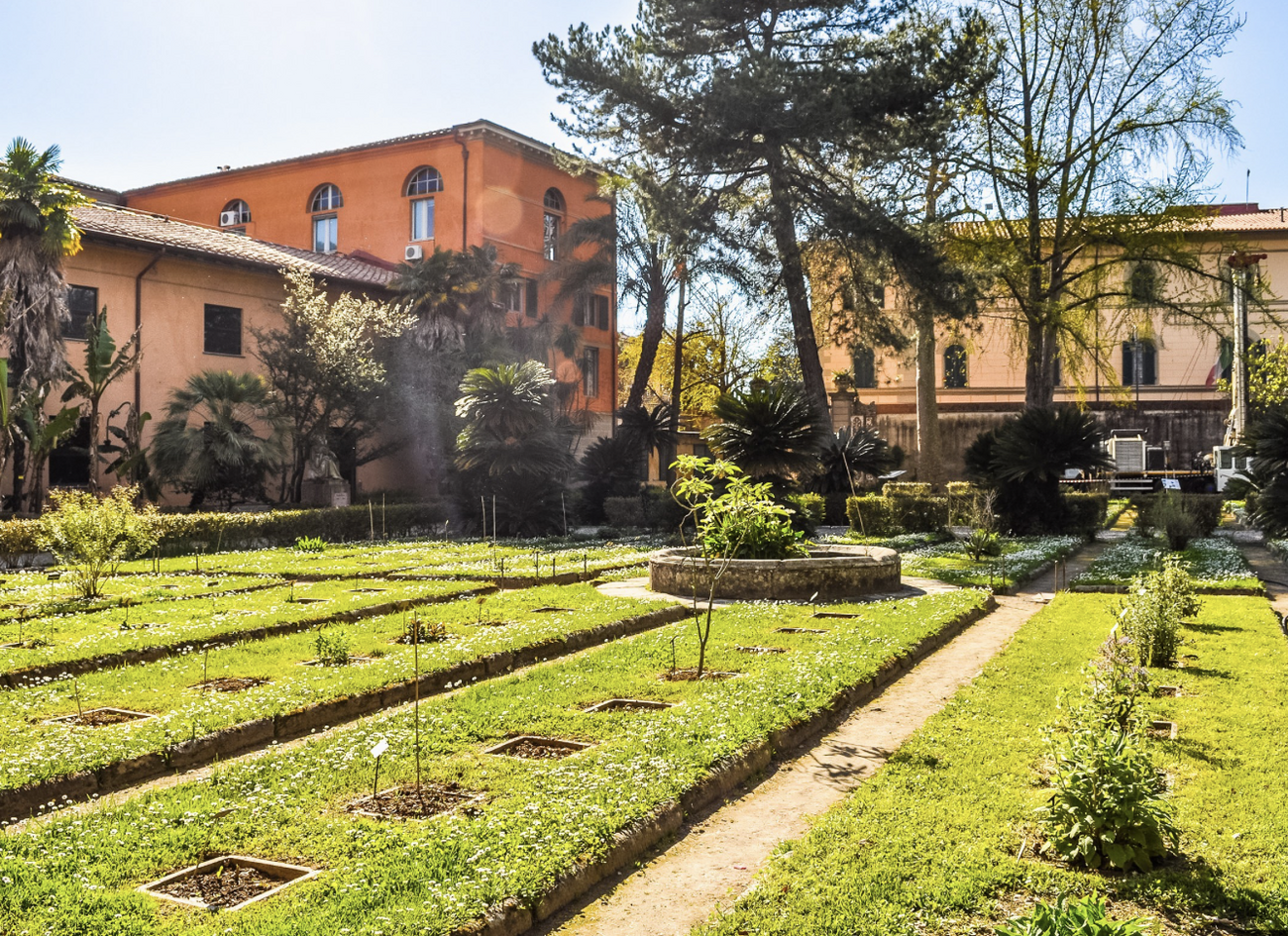 L’Orto Botanico di Pisa – il più antico del mondo e il più digitale ...